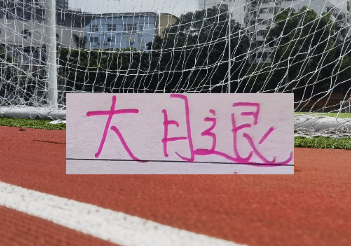 海港也是少有一个赛季引进2个非洲外援 安佩姆会是丐版巴尔加斯吗